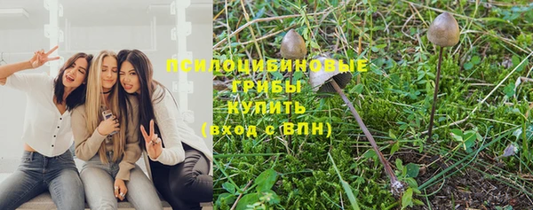мет Арсеньев