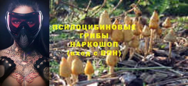 мет Арсеньев