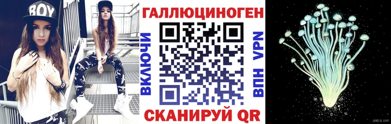 закладка  Кыштым  Галлюциногенные грибы прущие грибы 